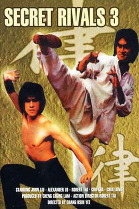 The Secret Rivals 3 (1981) movie poster