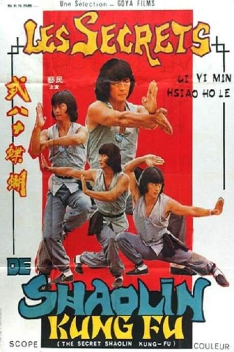 The Secret Shaolin Kung-Fu (1979) movie poster