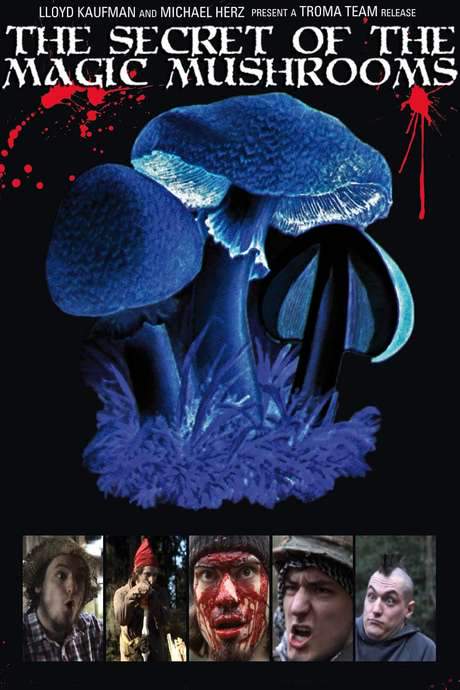 The Secret of the Magic Mushrooms (2009) movie poster