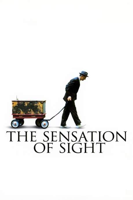 The Sensation of Sight (2006) movie poster