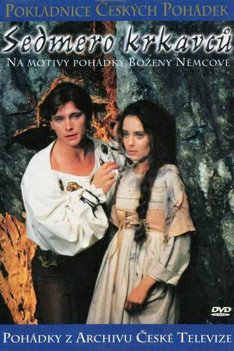 The Seven Ravens (1993) movie poster