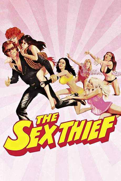 The Sex Thief (1973) movie poster