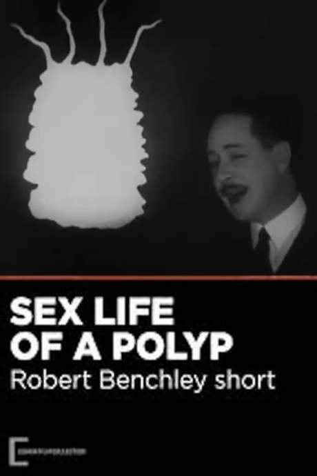 The Sex Life of the Polyp (1928) movie poster