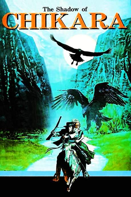 The Shadow of Chikara (1977) movie poster