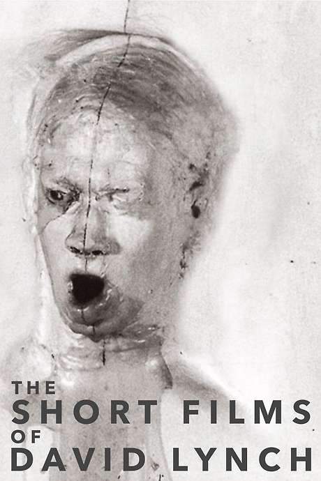 The Short Films of David Lynch (2002) movie poster
