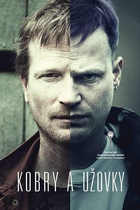 The Snake Brothers (2015) movie poster