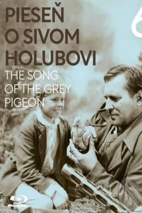 The Song of the Grey Pigeon (1961) movie poster