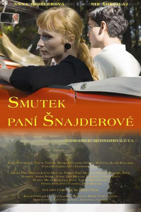 The Sorrow of Mrs. Schneider (2008) movie poster