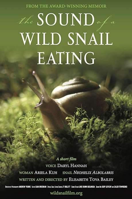 The Sound of a Wild Snail Eating (2019) movie poster