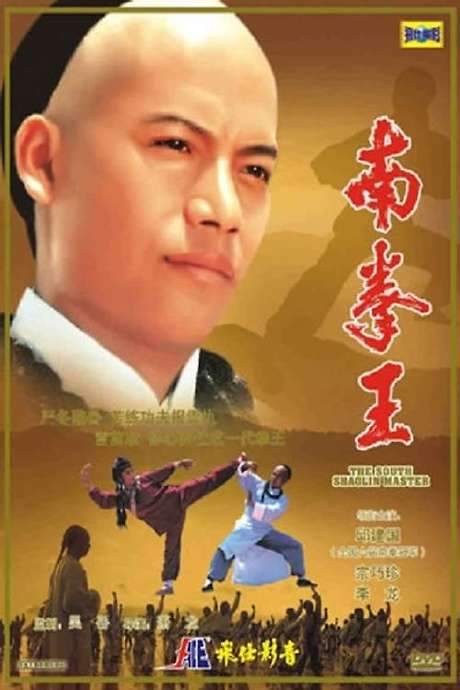 The South Shaolin Master (1984) movie poster