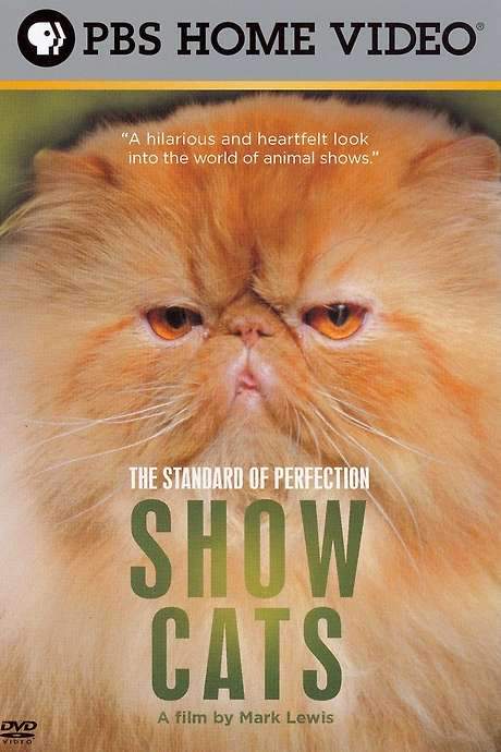 The Standard of Perfection: Show Cats (2006) movie poster
