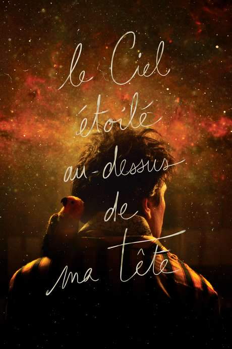 The Starry Sky Above Me (2017) movie poster