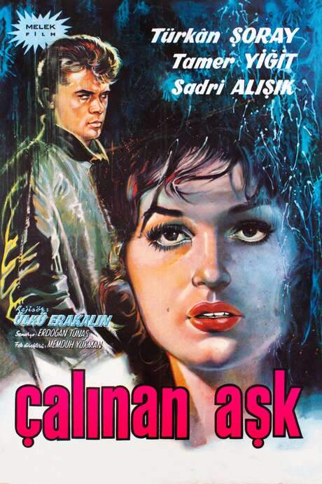 The Stolen Love (1963) movie poster