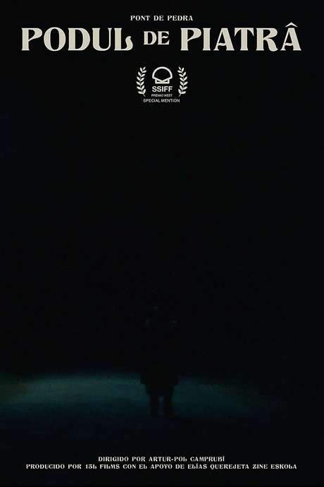 The Stone Bridge (2021) movie poster