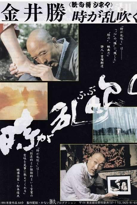 The Stormy Times (1991) movie poster