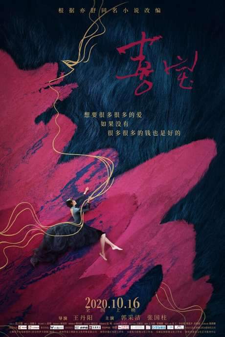 The Story Of Xi Bao (2020) movie poster