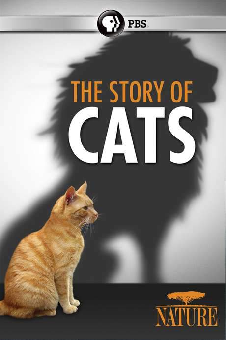 The Story of Cats (2016) movie poster