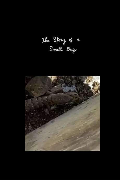The Story of a Small Bug (2020) movie poster