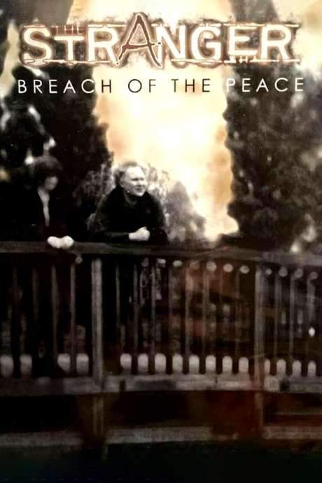 The Stranger: Breach of the Peace (1994) movie poster