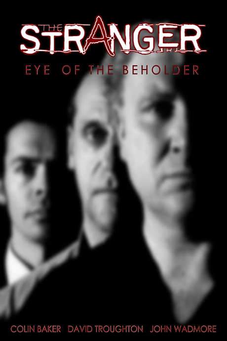 The Stranger: Eye of the Beholder (1995) movie poster