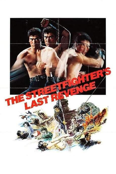 The Street Fighter’s Last Revenge (1974) movie poster