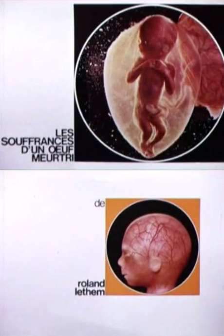 The Sufferings of a Wounded Egg (1967) movie poster