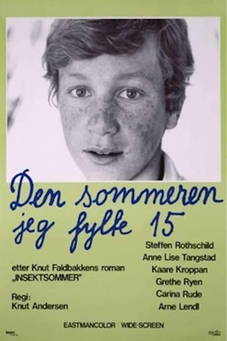 The Summer I Turned 15 (1976) movie poster
