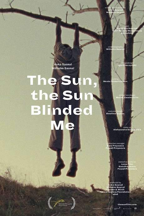 The Sun, the Sun Blinded Me (2016) movie poster