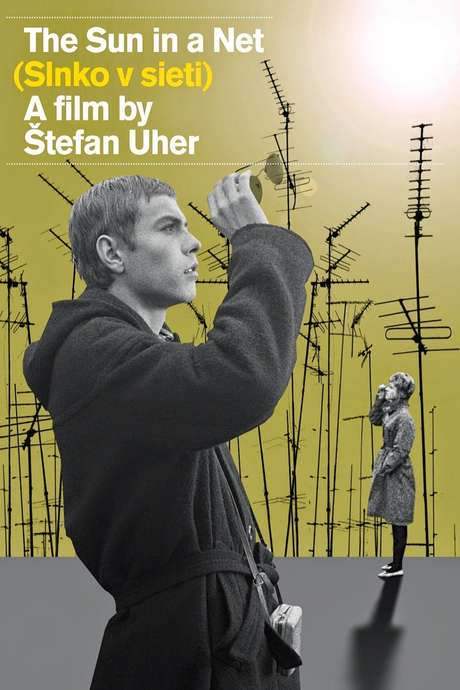 The Sun in a Net (1963) movie poster