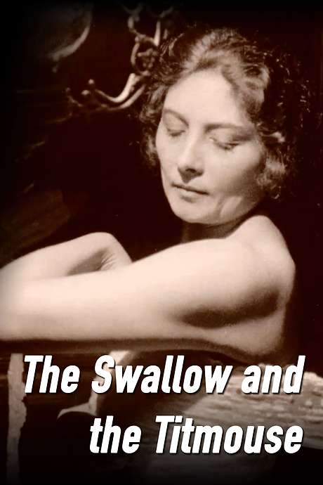 The Swallow and the Titmouse (1924) movie poster