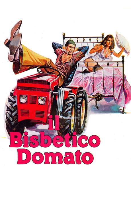 The Taming of the Scoundrel (1980) movie poster