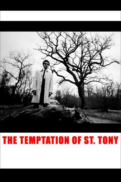 The Temptation of St. Tony (2009) movie poster