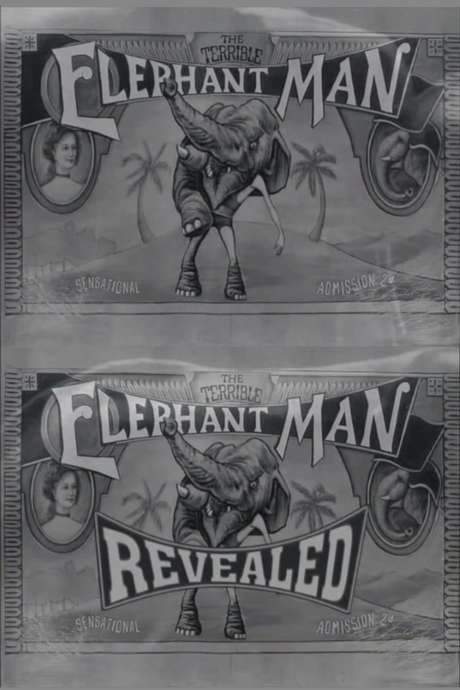 The Terrible Elephant Man Revealed (2001) movie poster
