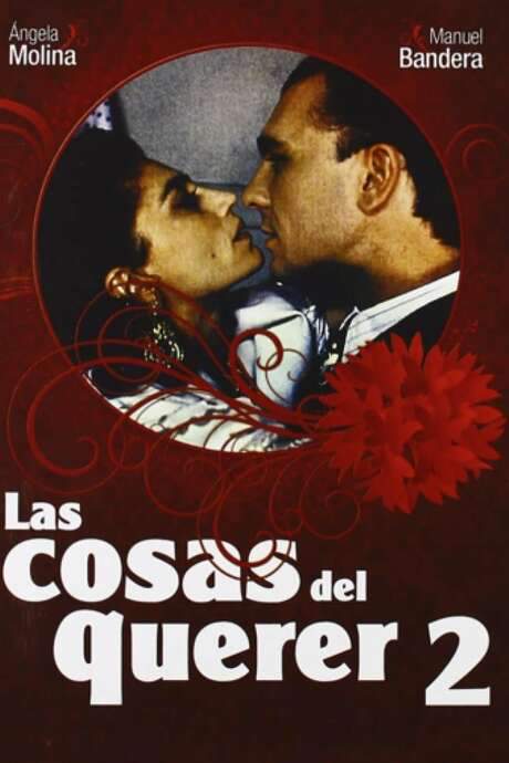 The Things of Love: Part 2 (1995) movie poster