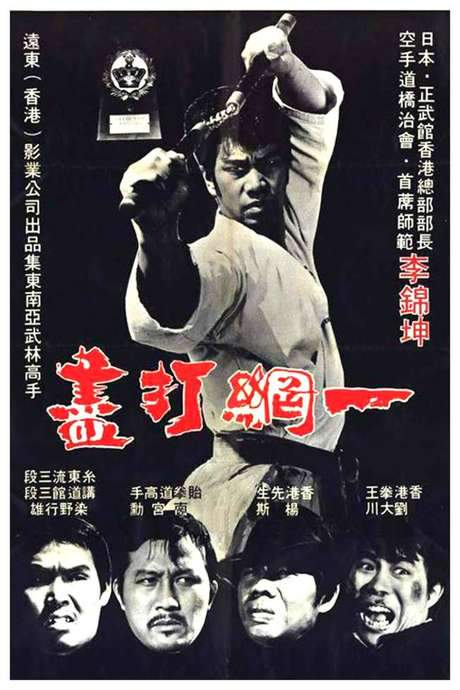 The Thunder Kick (1974) movie poster