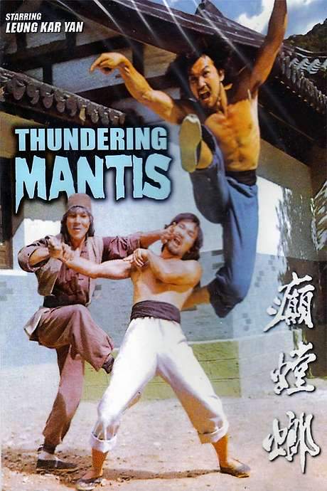 The Thundering Mantis (1980) movie poster