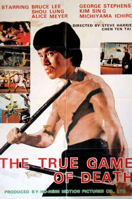 The True Game of Death (1978) movie poster