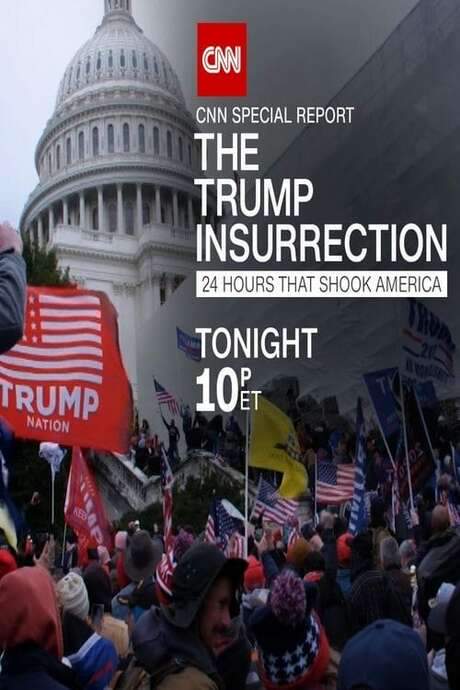 The Trump Insurrection (2021) movie poster