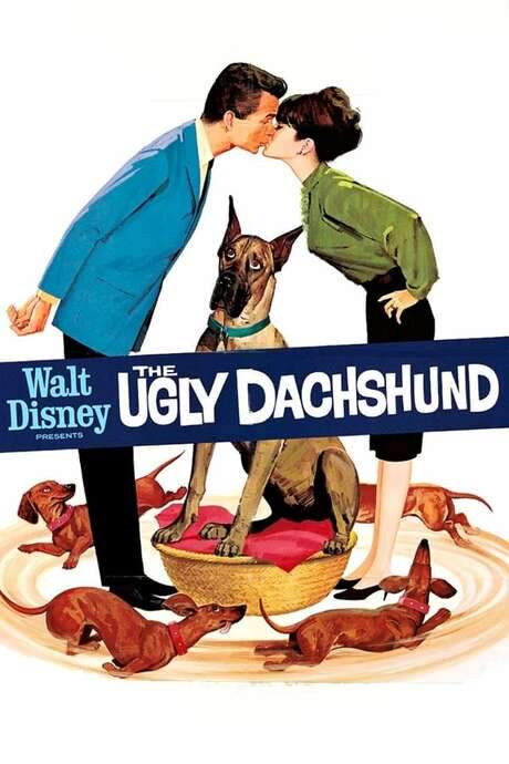 The Ugly Dachshund (1966) movie poster