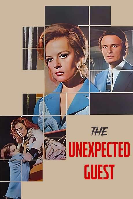 The Unexpected Guest (1972) movie poster