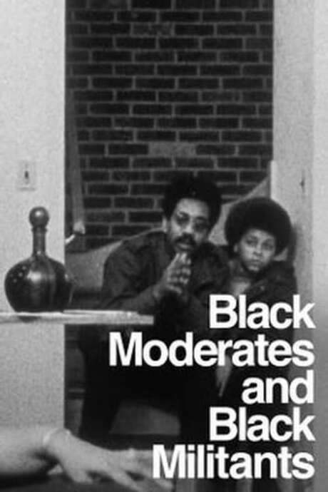 The Urban Crisis and the New Militants: Module 6 - Black Moderates and Black Militants (1969) movie poster
