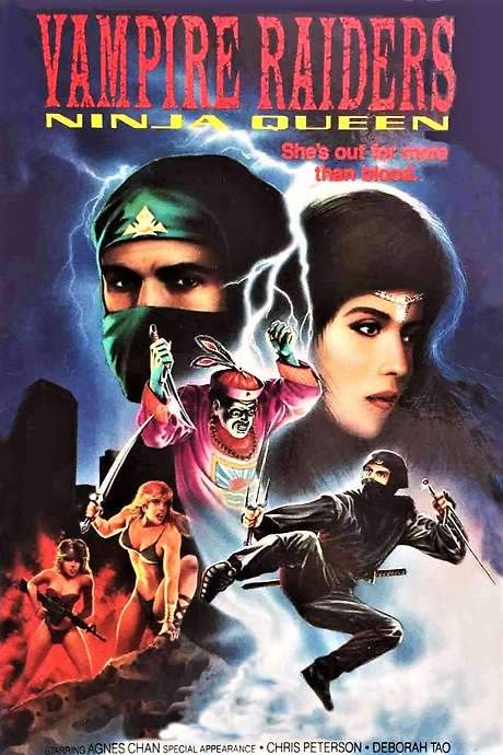 The Vampire Raiders (1988) movie poster