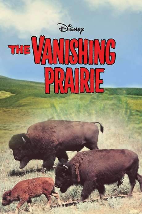 The Vanishing Prairie (1954) movie poster