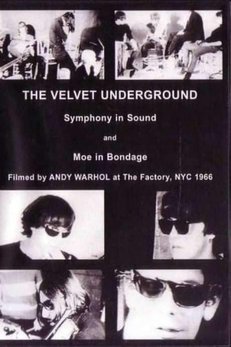 The Velvet Underground and Nico: A Symphony of Sound (1966) movie poster