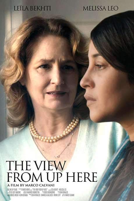 The View from Up Here (2017) movie poster