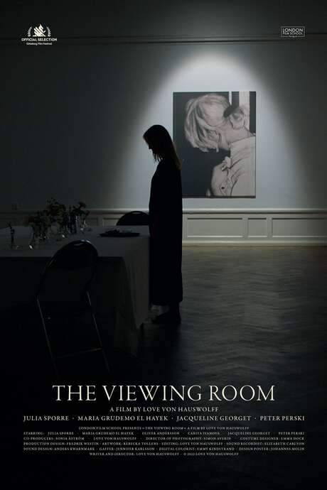 The Viewing Room (2022) movie poster