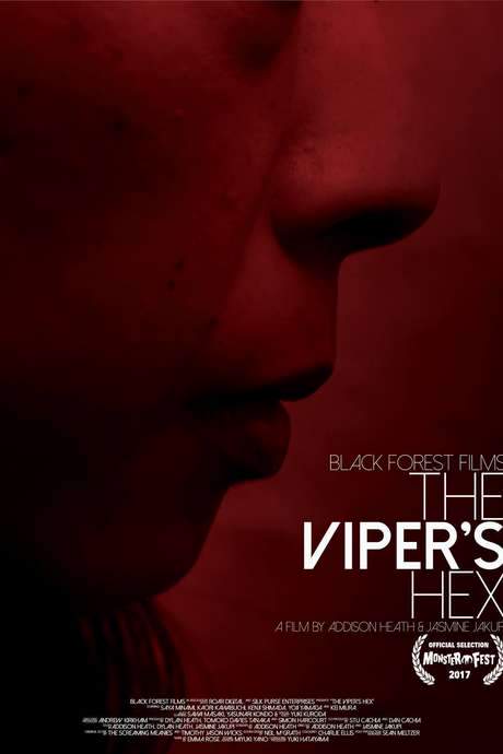 The Viper’s Hex (2017) movie poster