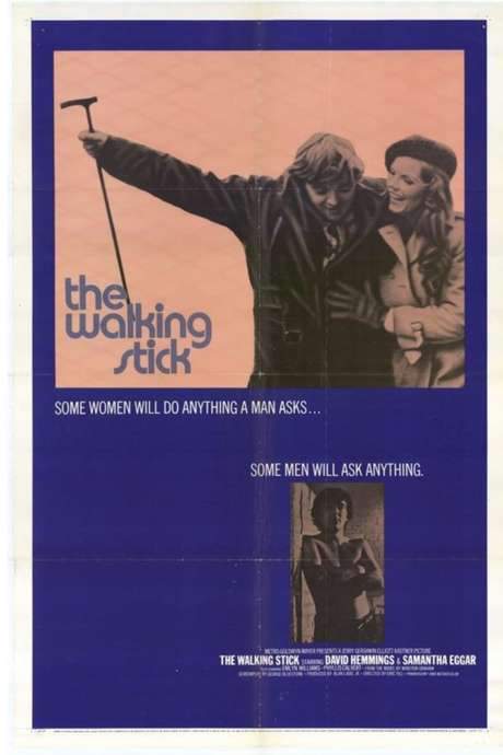 The Walking Stick (1970) movie poster