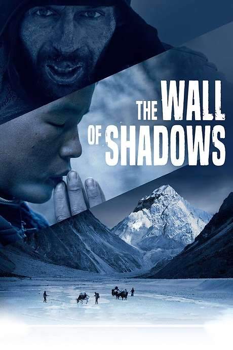 The Wall of Shadows (2020) movie poster