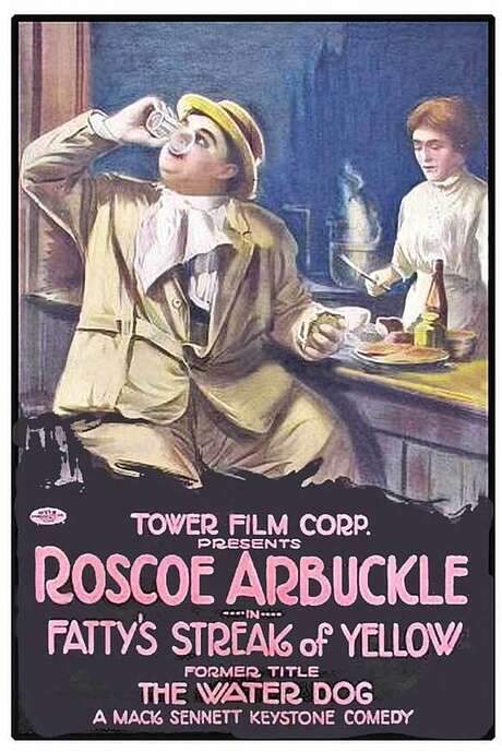 The Water Dog (1914) movie poster